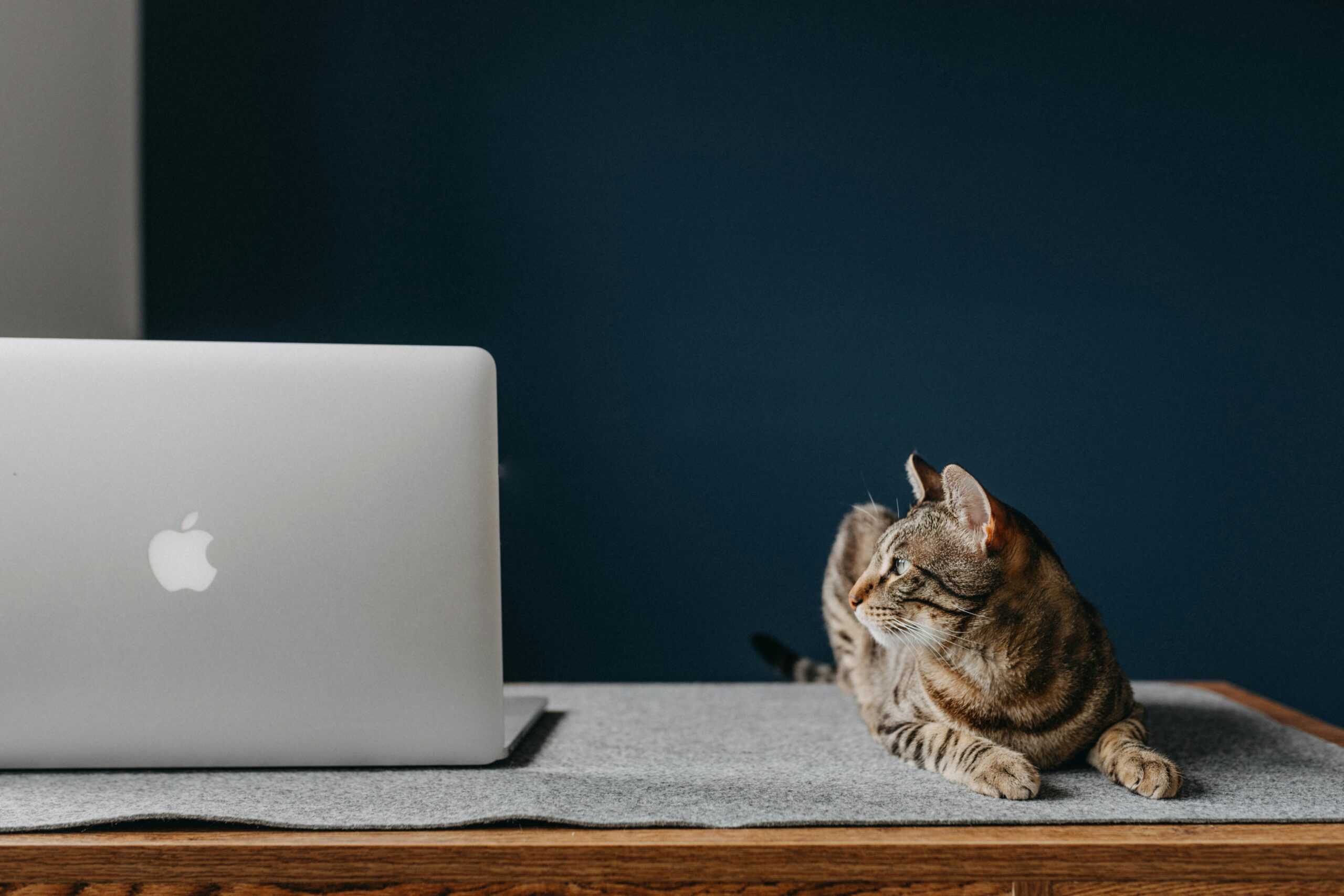 Why I’m Recommending Nomads.com for Digital Nomads